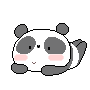 panda 6